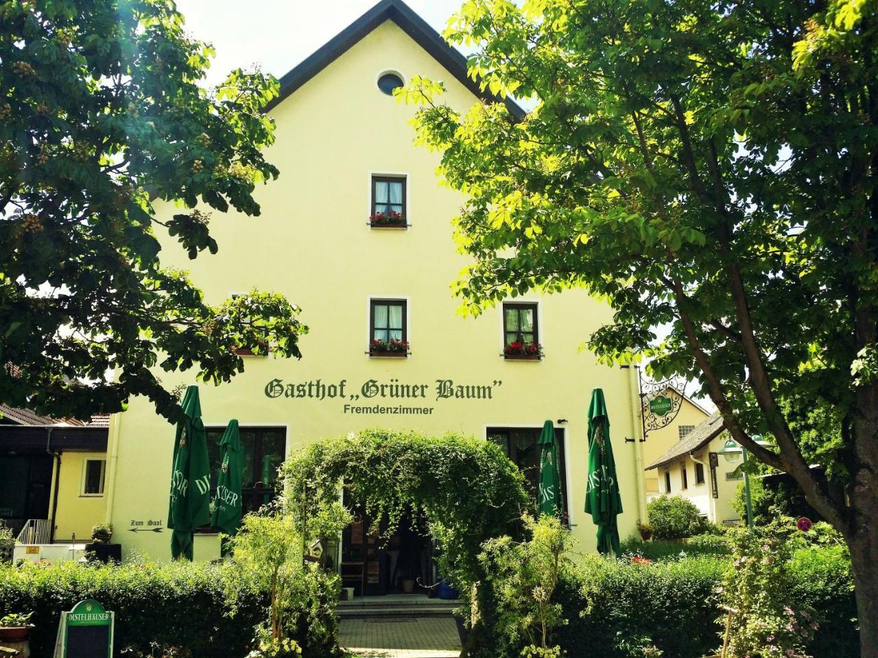 Hotel-Landgasthof Gruener Baum - Dittigheim Tauberbischofsheim Ngoại thất bức ảnh